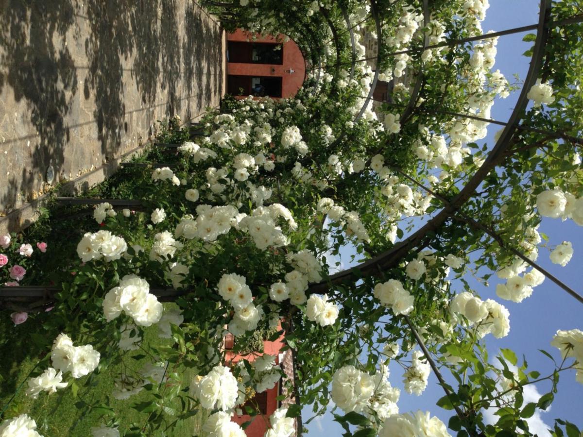 Agriturismo Casale Le Selvette Ripa Zewnętrze zdjęcie