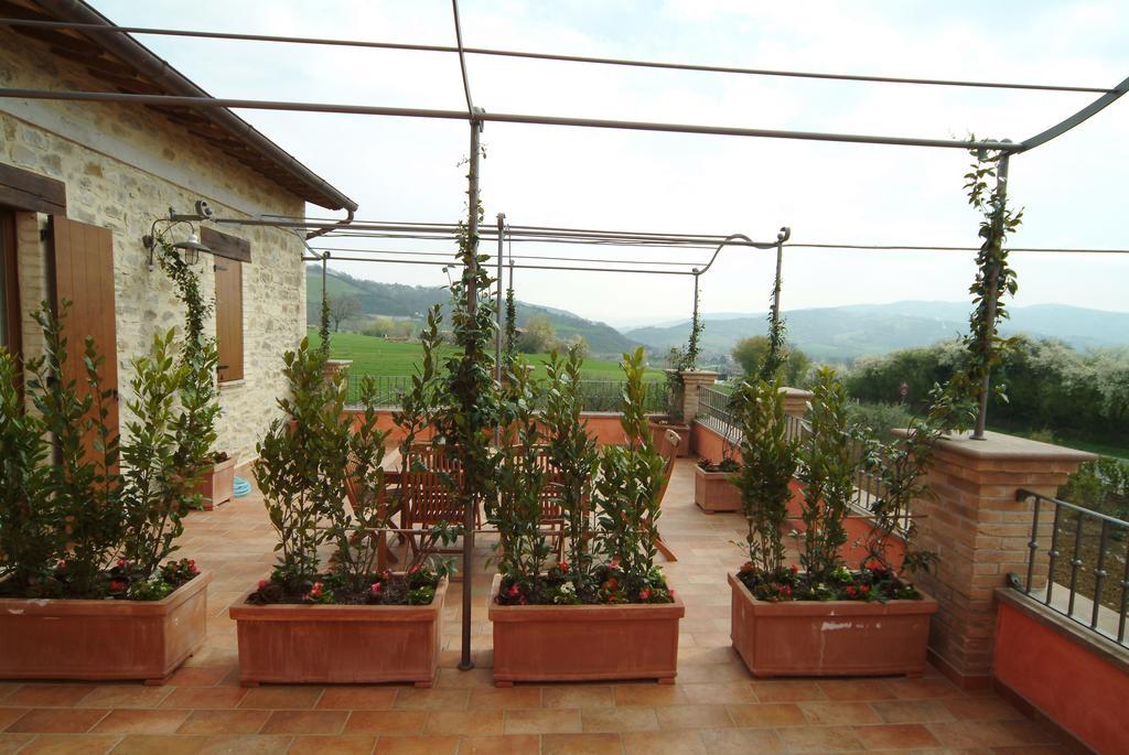 Agriturismo Casale Le Selvette Ripa Zewnętrze zdjęcie