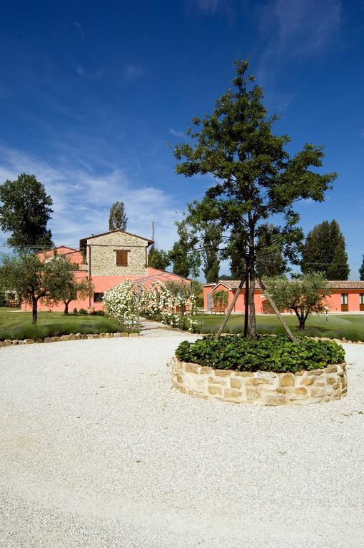 Agriturismo Casale Le Selvette Ripa Zewnętrze zdjęcie