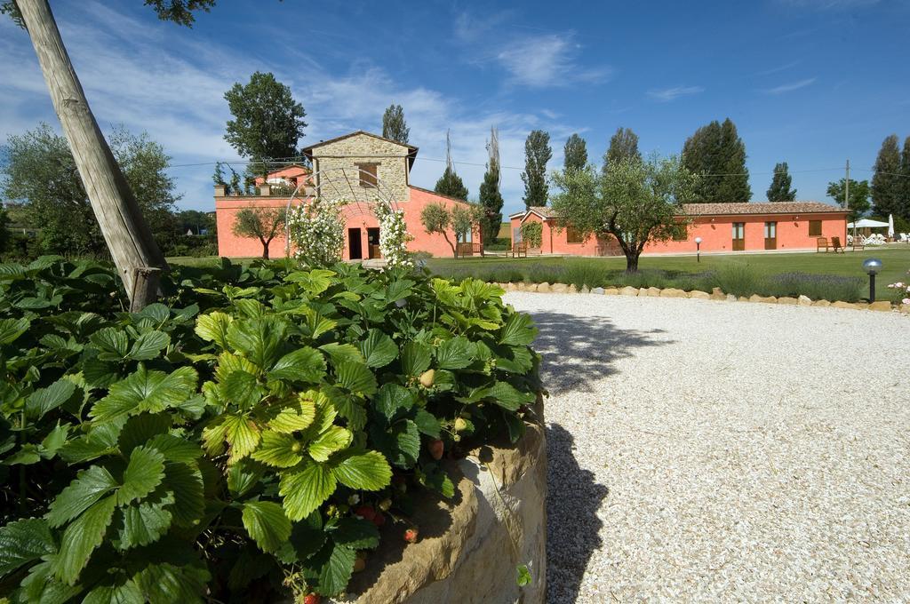 Agriturismo Casale Le Selvette Ripa Zewnętrze zdjęcie