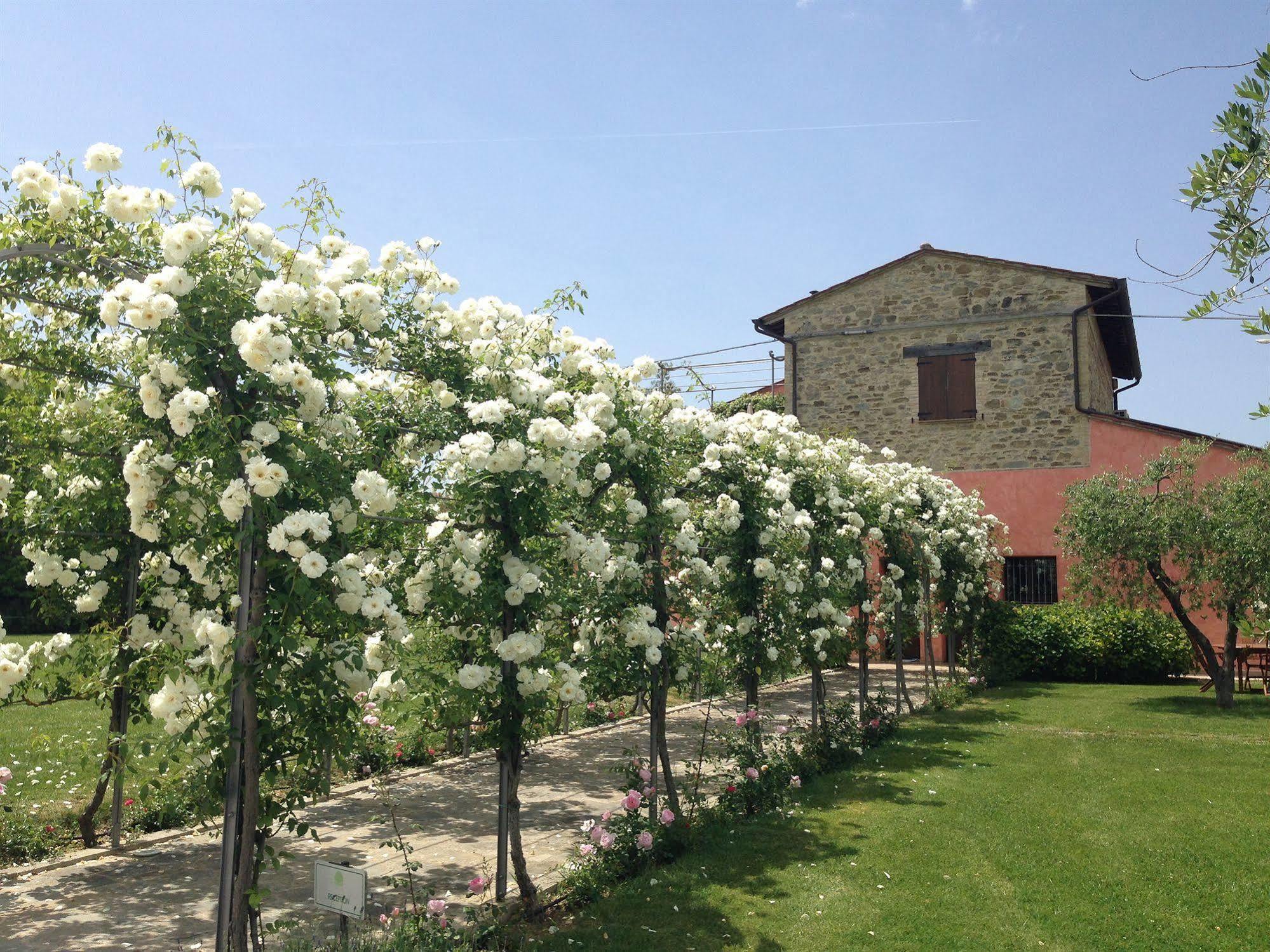 Agriturismo Casale Le Selvette Ripa Zewnętrze zdjęcie