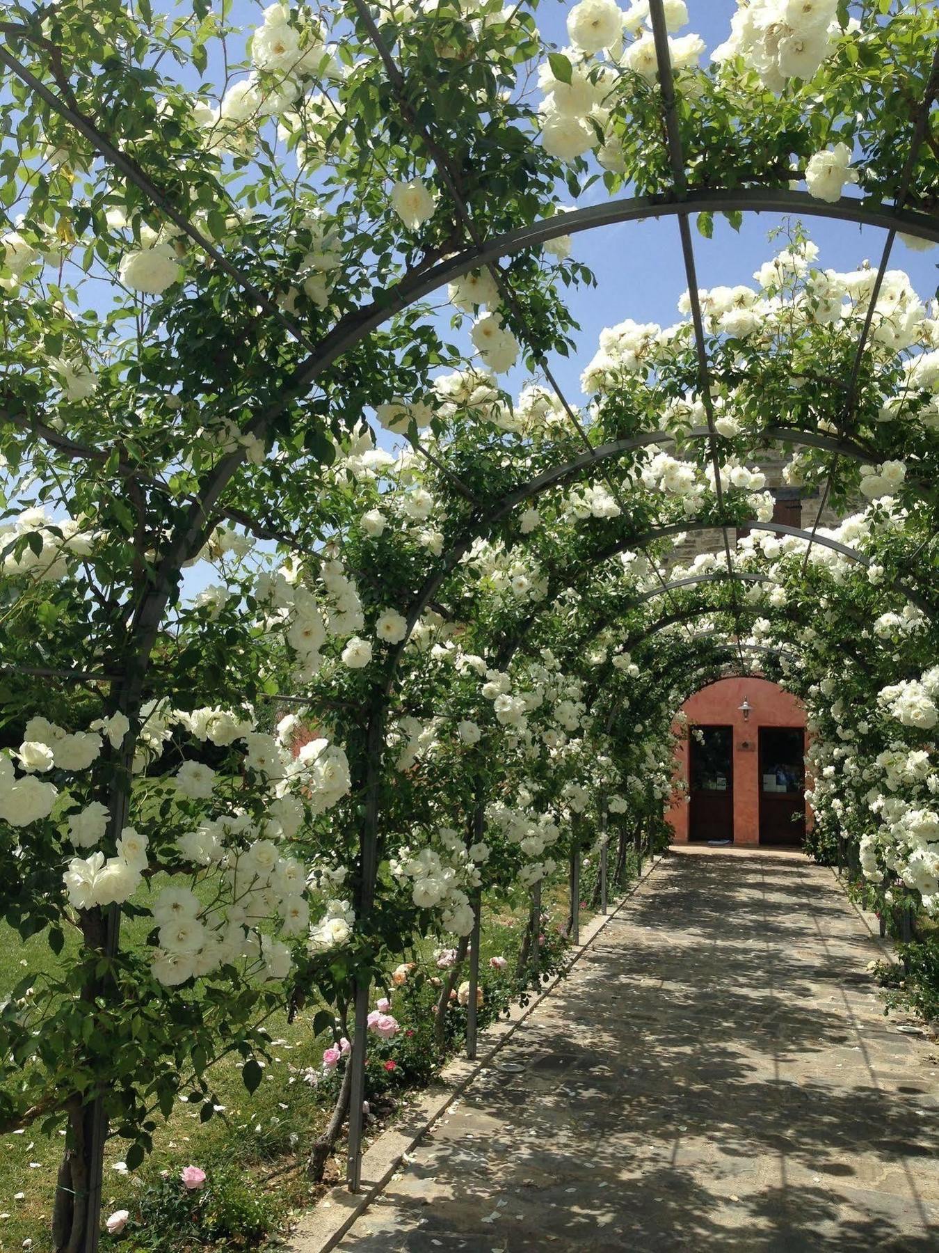 Agriturismo Casale Le Selvette Ripa Zewnętrze zdjęcie